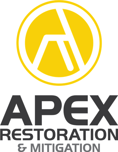 APEX logo