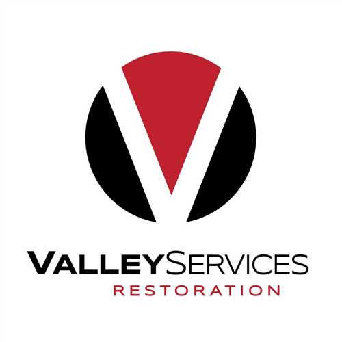 Valley Services logo