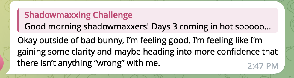 Shadowmaxxing testimonial