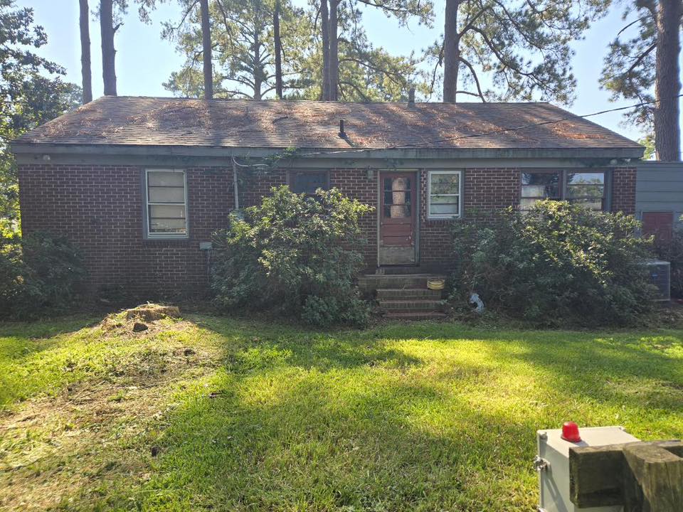 organic lawn care healthy green lawn soil biology natural lawn treatment