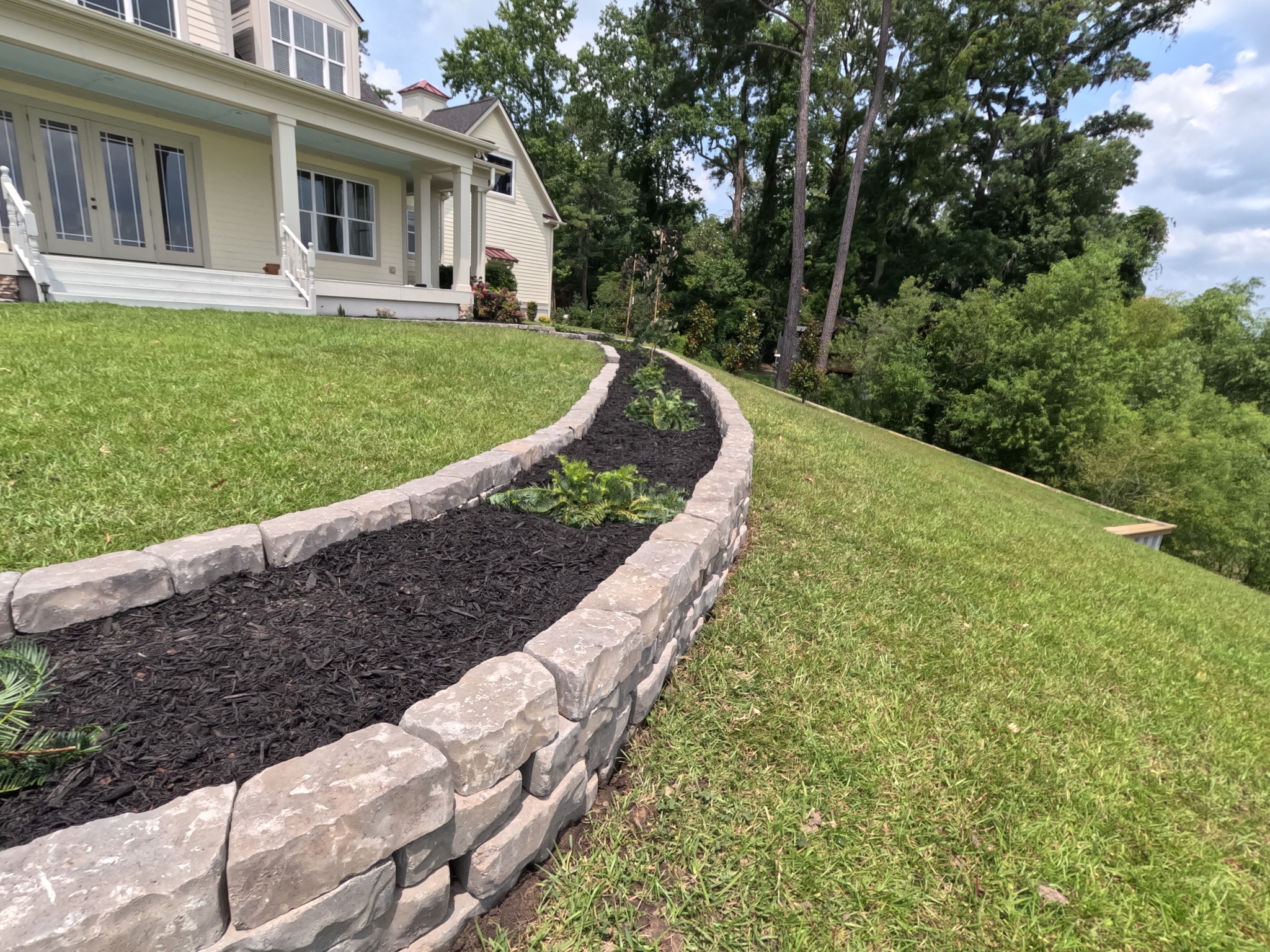 organic lawn care healthy green lawn TrimLawn Organics Morehead City NC