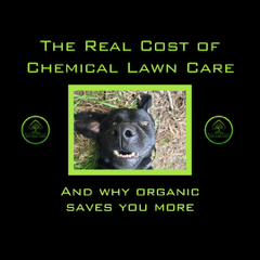 The Real Cost of Chemical Lawn Care and Why Organic Saves You More Trim Lawn Organics