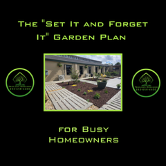 organic lawn care New Bern NC healthy lawn soil improvement example
