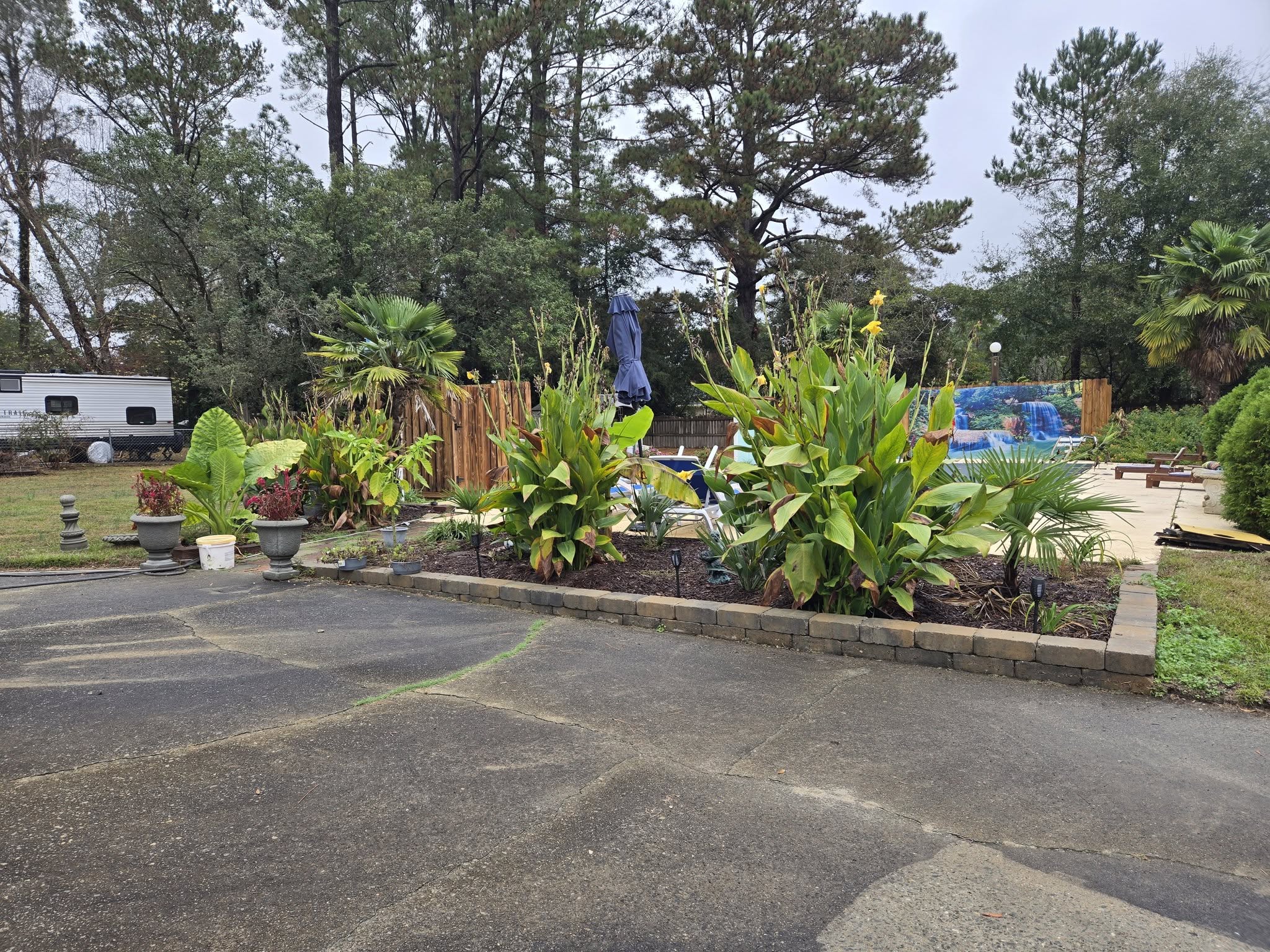native plants landscaping New Bern NC low maintenance garden design