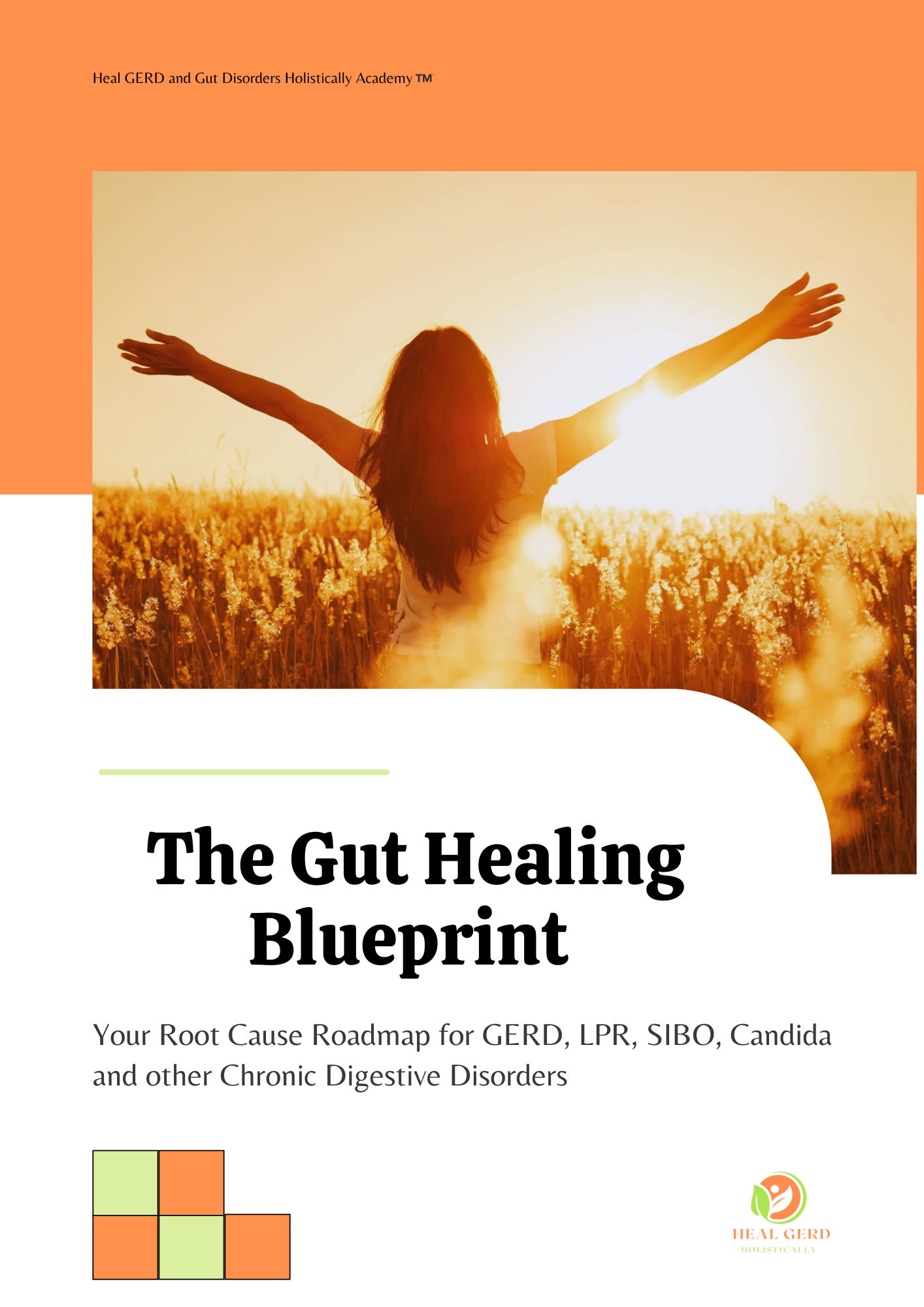 The Gut Healing Blueprint ebook cover: a root cause roadmap for GERD, LPR, SIBO, Candida and other chronic digestive disorders