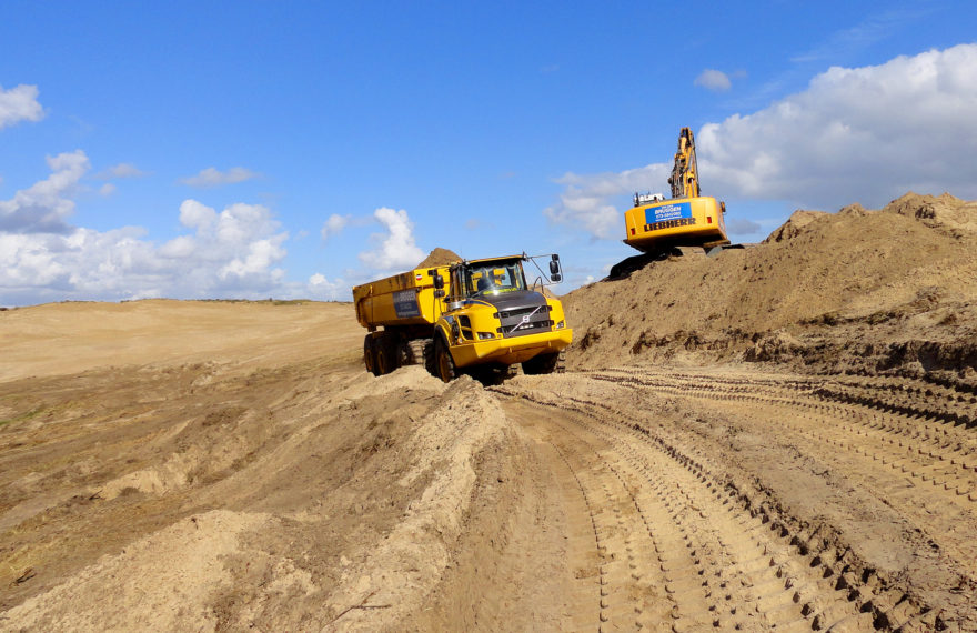 dutch dune revival