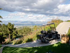 {{ custom_values.service_3 }} in {{custom_values.area_7})