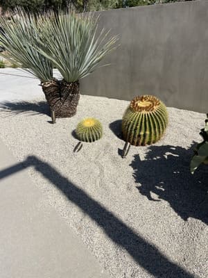 {{ custom_values.service_2 }} in {{custom_values.area_5})