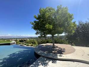 {{ custom_values.service_3 }} in {{custom_values.area_7})