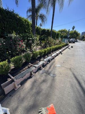 {{ custom_values.service_4 }} in {{custom_values.area_4})