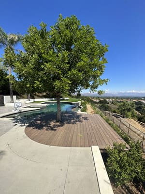 {{ custom_values.service_3 }} in {{custom_values.area_1})