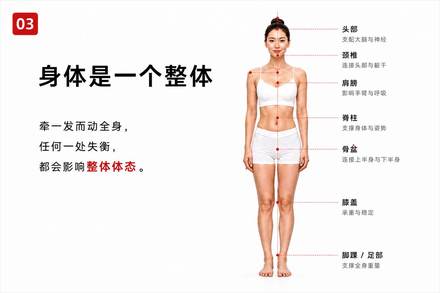 课件:如何观察体态