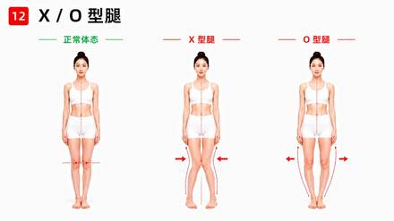 课件:四步工作法
