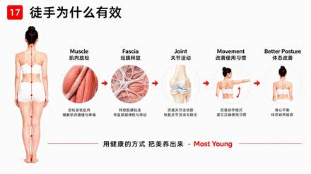 课件:徒手为什么有效