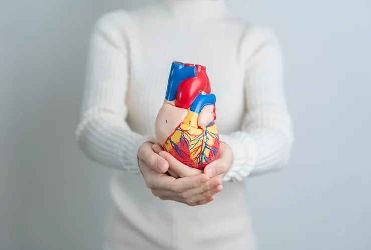Cinematic portrait of cardiologist and preventive cardiology environment