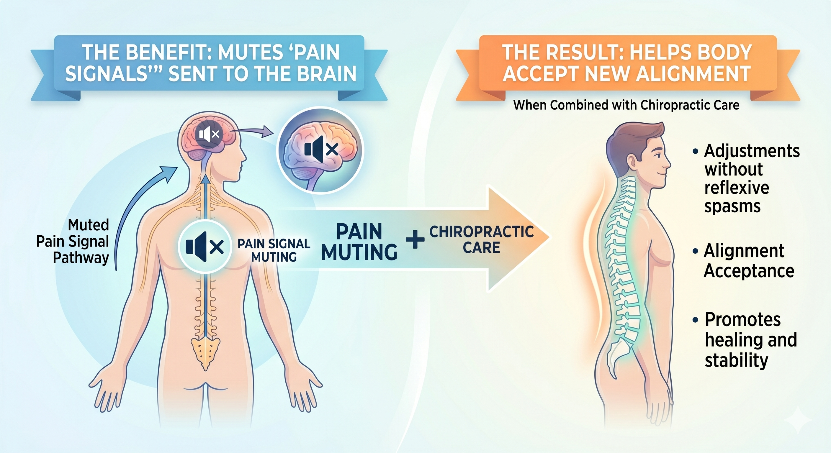 The Benefit: It mutes "pain signals" sent to the brain.  The Result: When combined with chiropractic care, it helps the body accept a new alignment without the reflexive muscle spasms that typically follow chronic injury