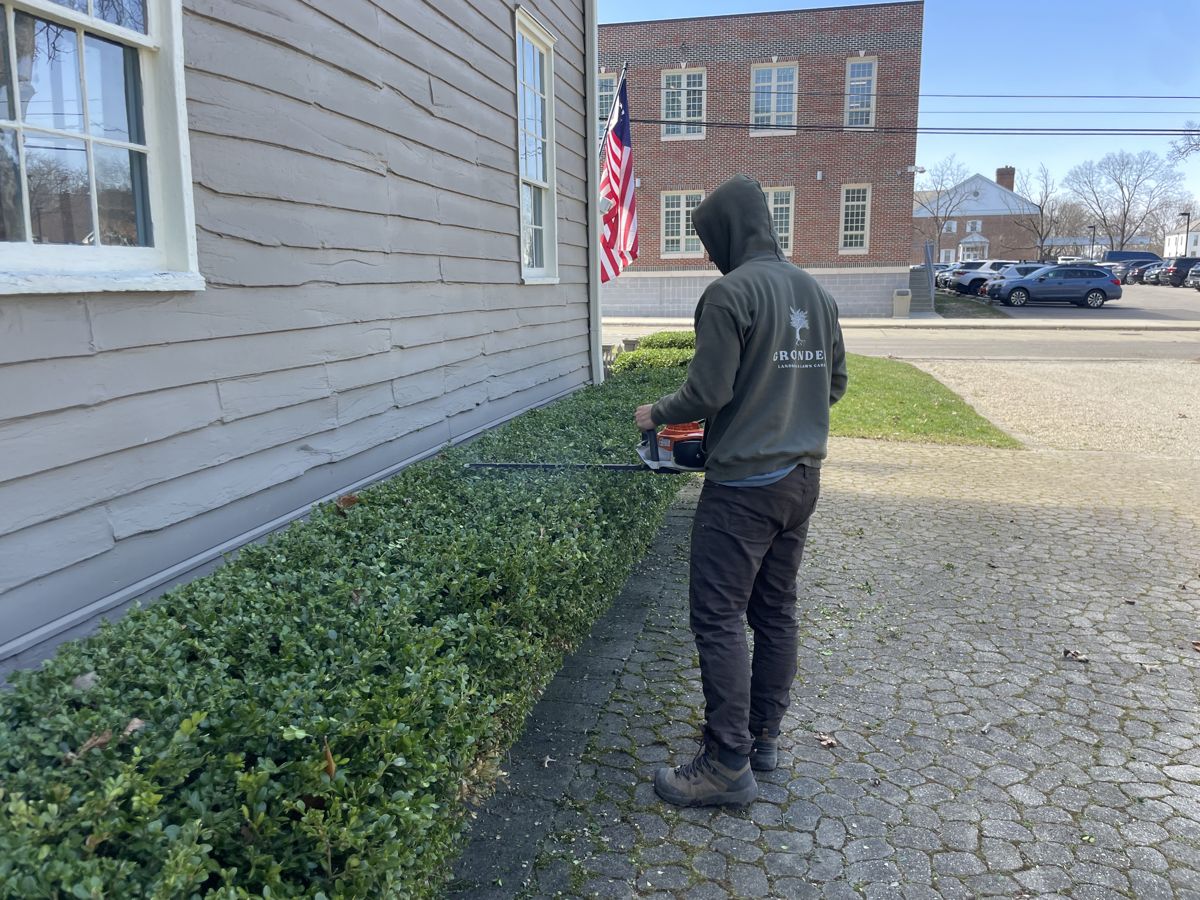 Bush & Shrub Trimming