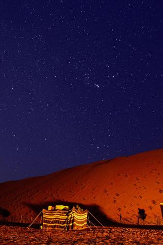 Desert Majlis Experience