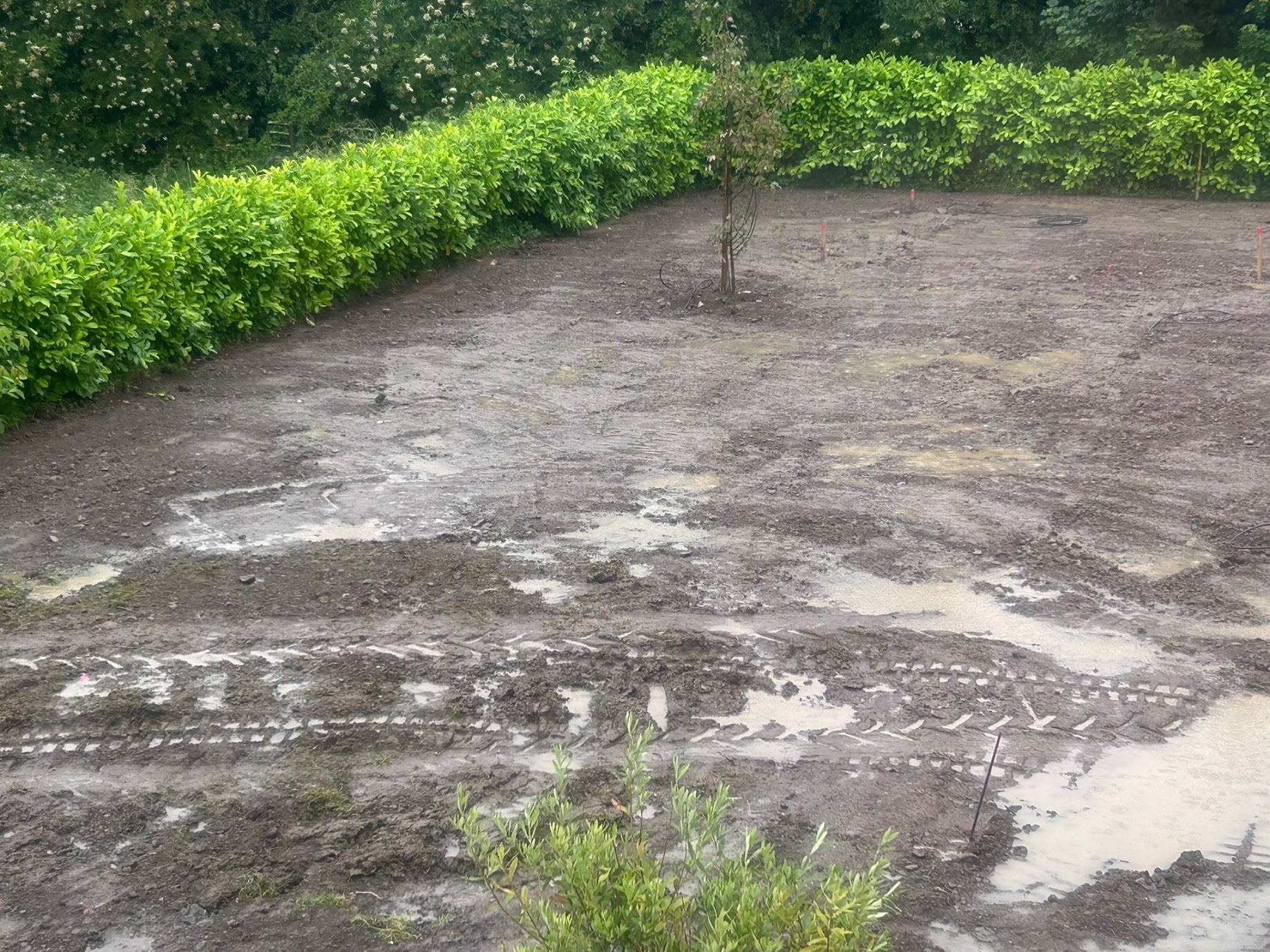 Large Garden with Sauna gallery 7