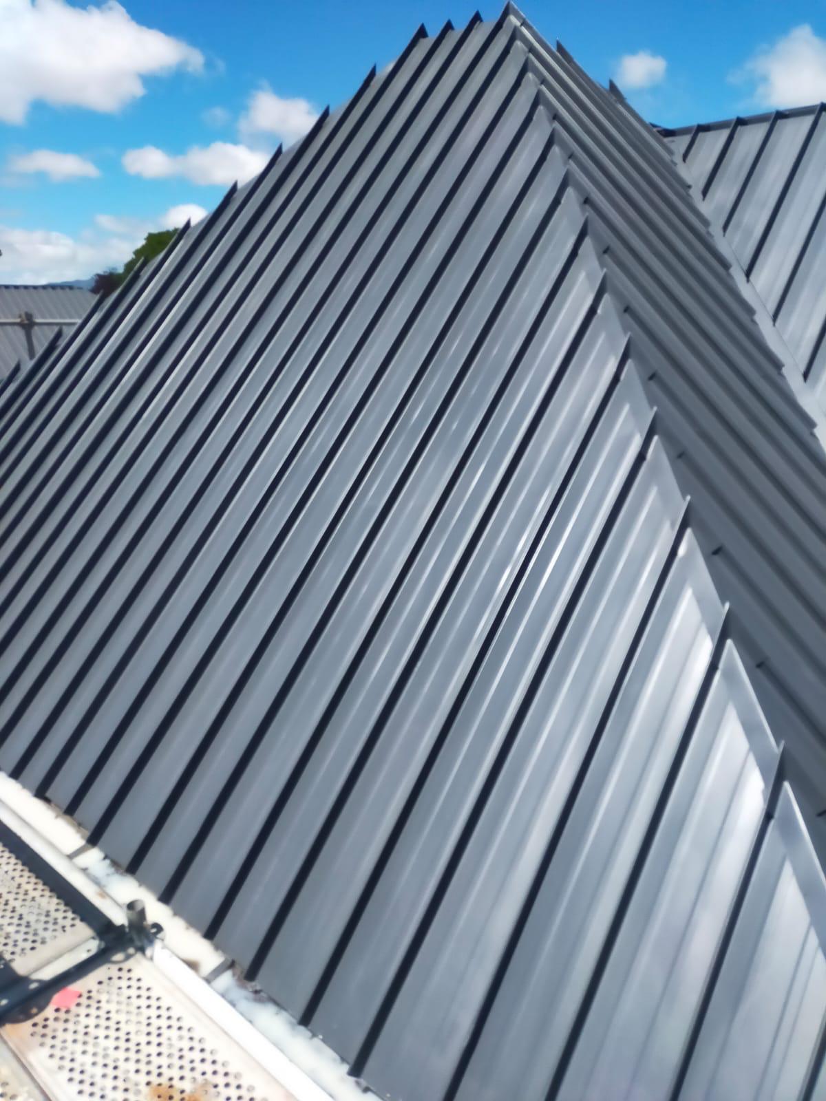 High-angle view of freshly coated dark corrugated iron roof