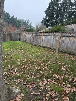 {{ custom_values.service_2 }} in {{custom_values.area_3})