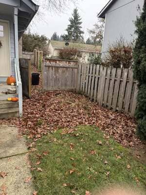 {{ custom_values.service_3 }} in {{custom_values.area_3})