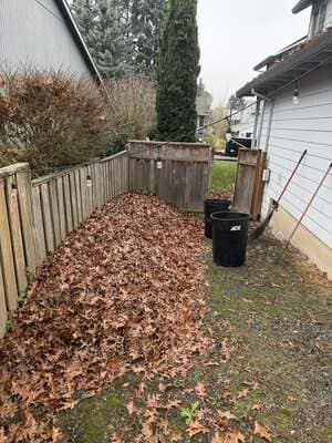 {{ custom_values.service_3 }} in {{custom_values.area_3})