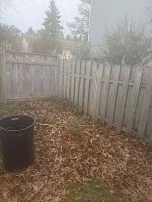 {{ custom_values.service_3 }} in {{custom_values.area_3})