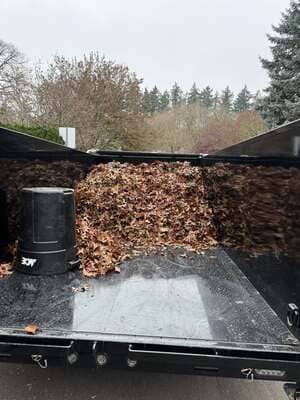 {{ custom_values.service_3 }} in {{custom_values.area_3})