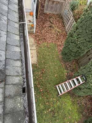 Yard Debris in McMinnville OR.