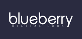 blueberry digital labs