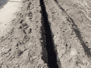 Trenching in Orlando