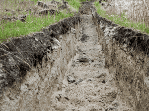 {{ custom_values.service_1 }} in {{custom_values.area_3})