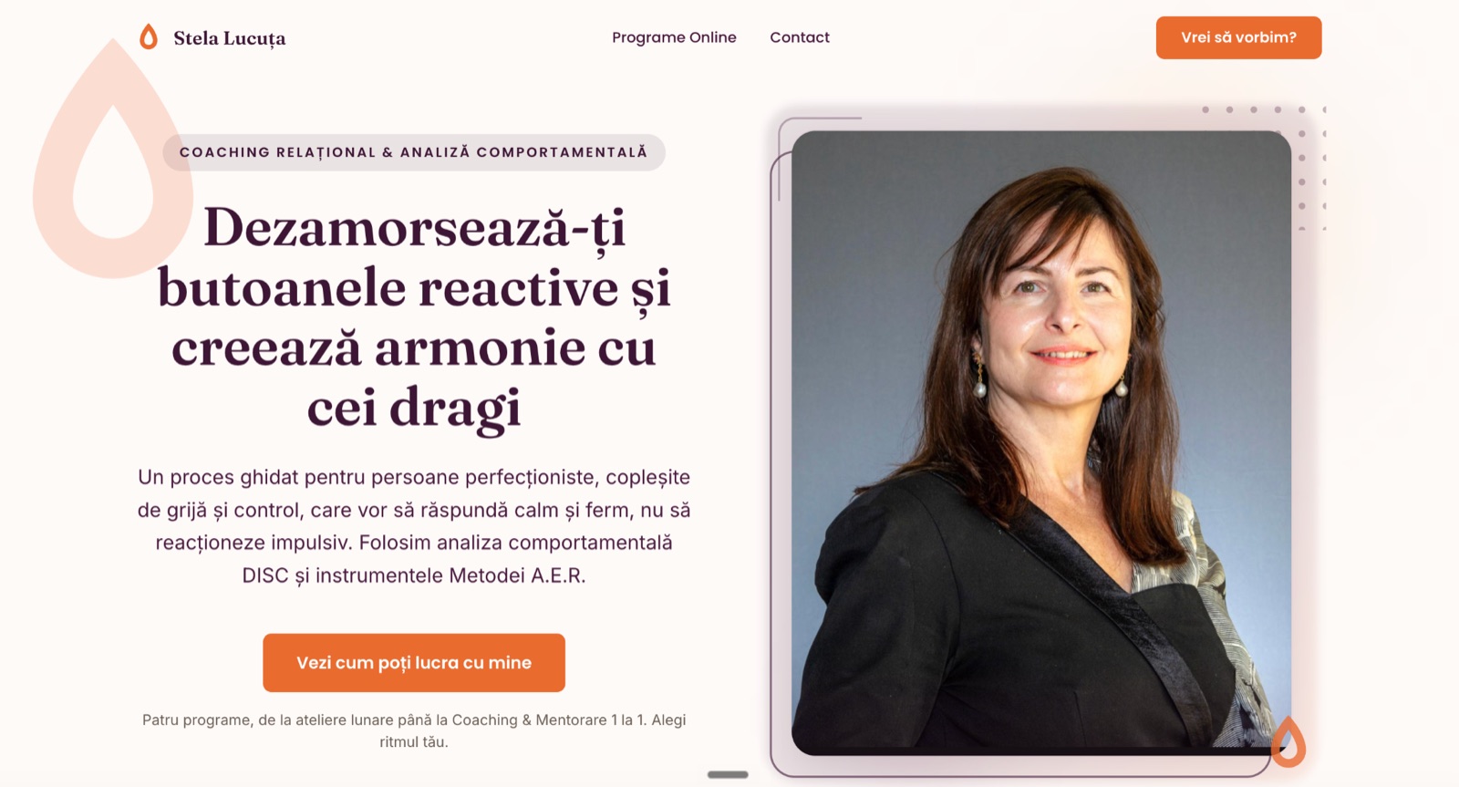 Captură reprezentativă Stela Lucuța Consulting