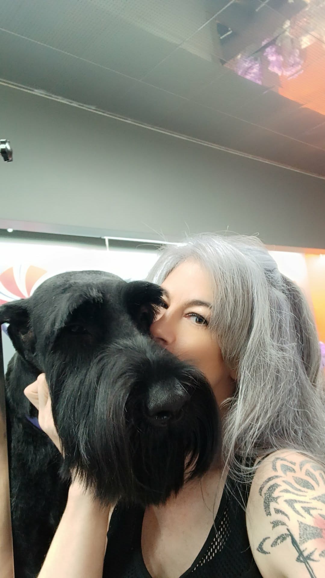 Valerie with a groomed schnauzer