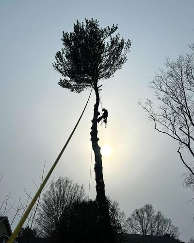 {{ custom_values.service_1 }} in {{custom_values.area_3})