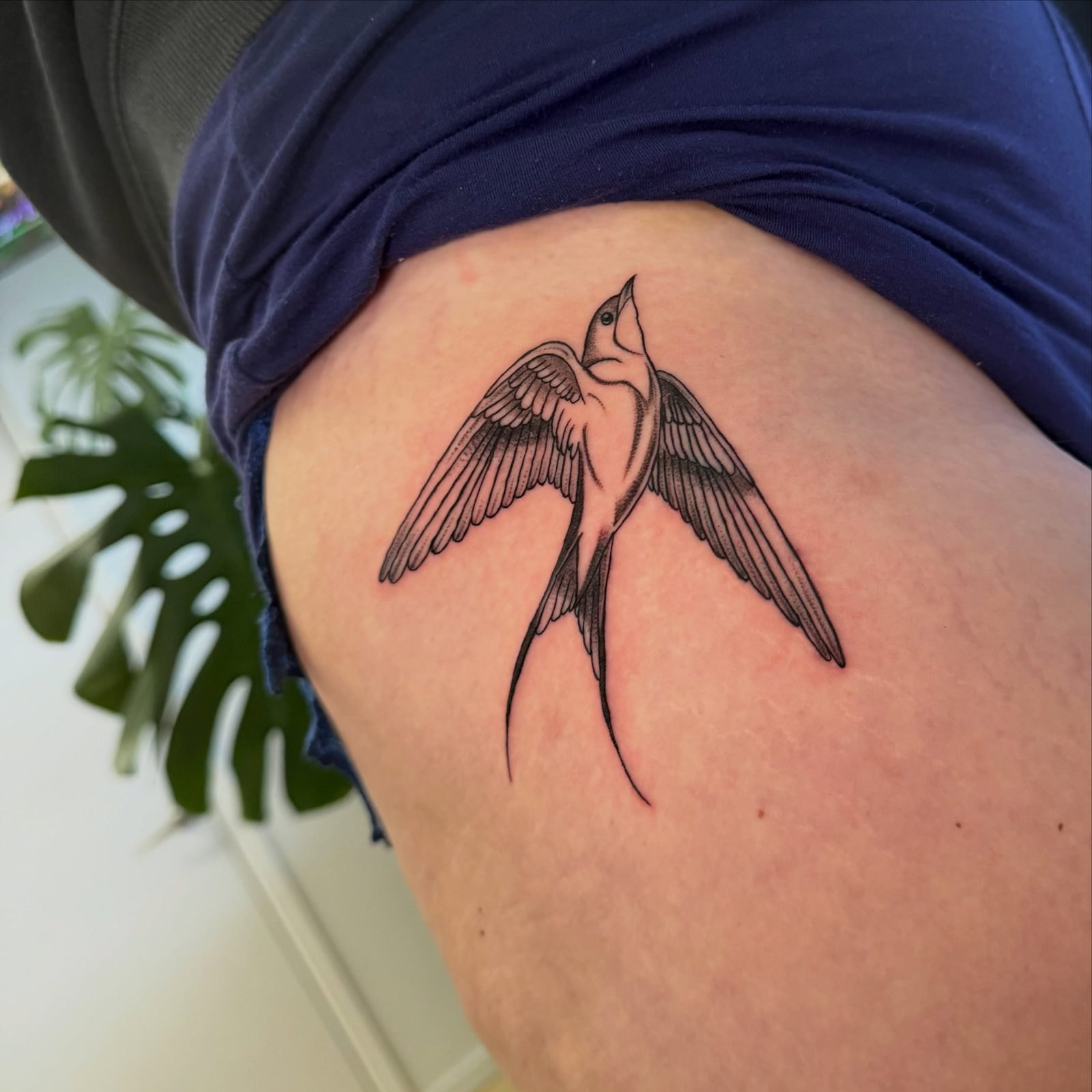 Fine line swallow in flight on the hip, by Miss Champion
