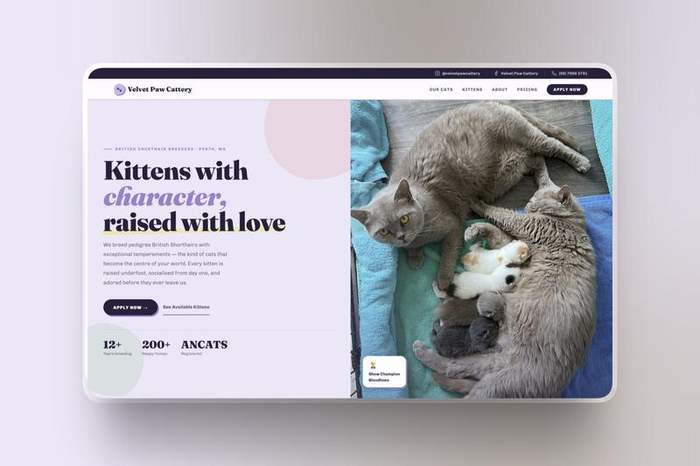 Website mockup