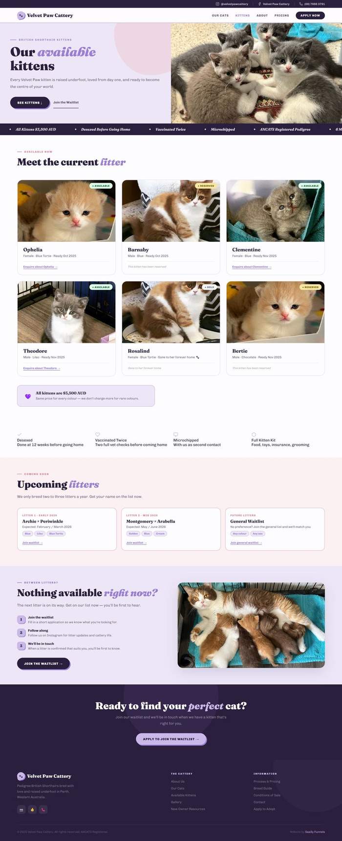 Available kittens page