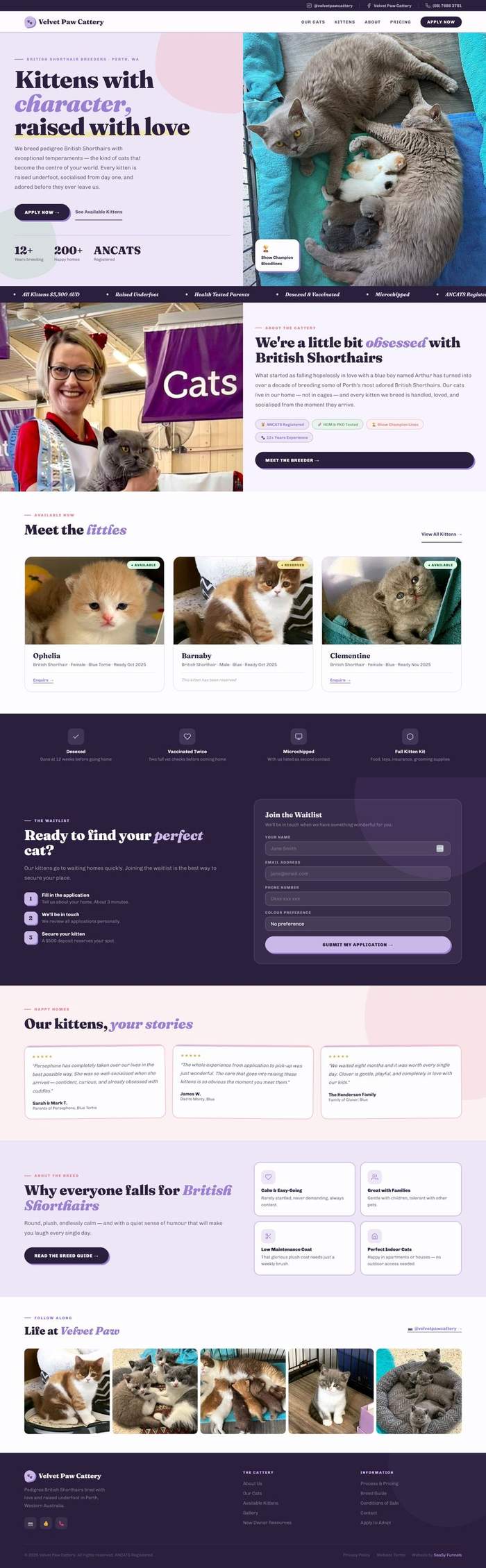 Homepage