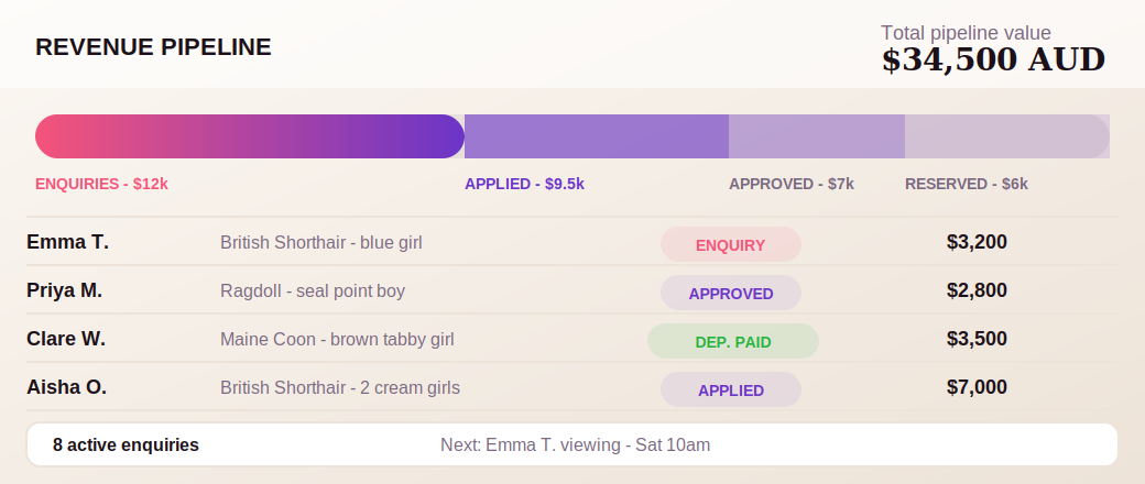 Revenue dashboard showing business overview