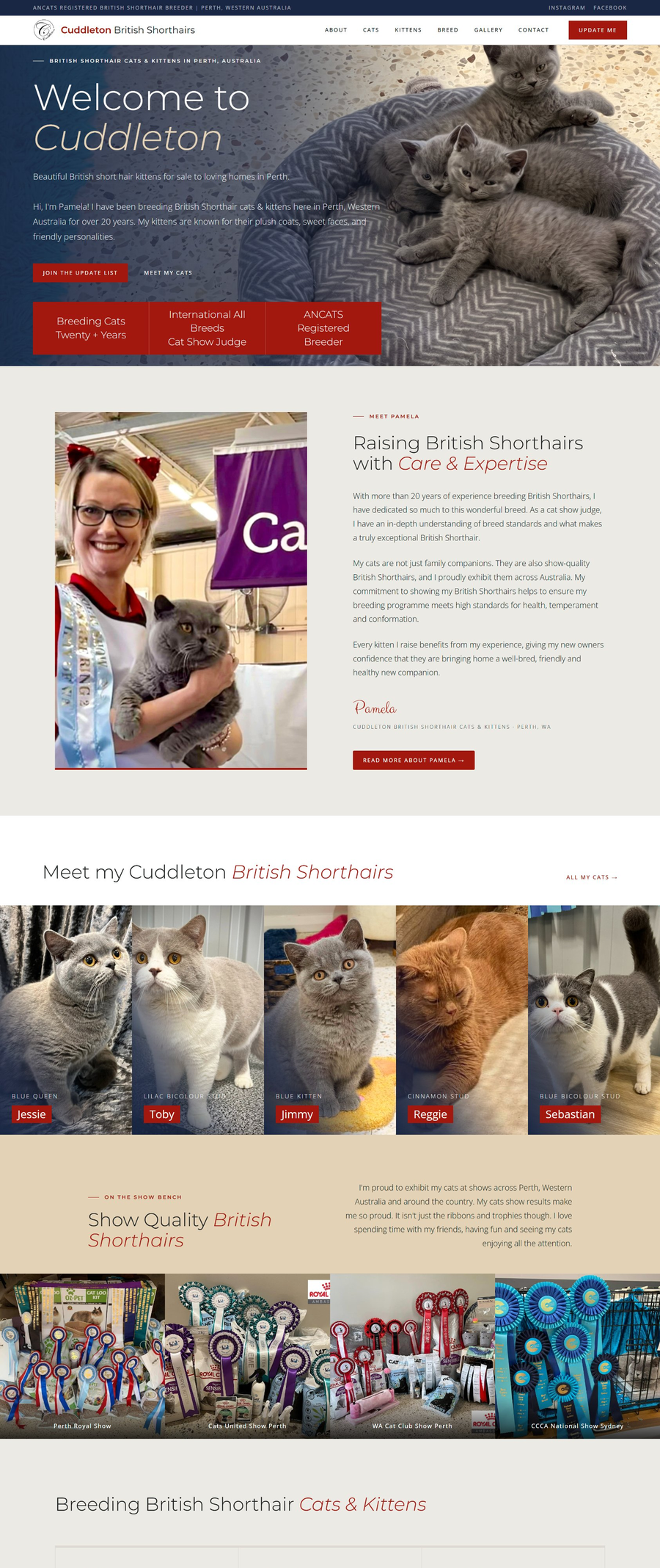 Cuddleton British Shorthairs — current Purrsonality website
