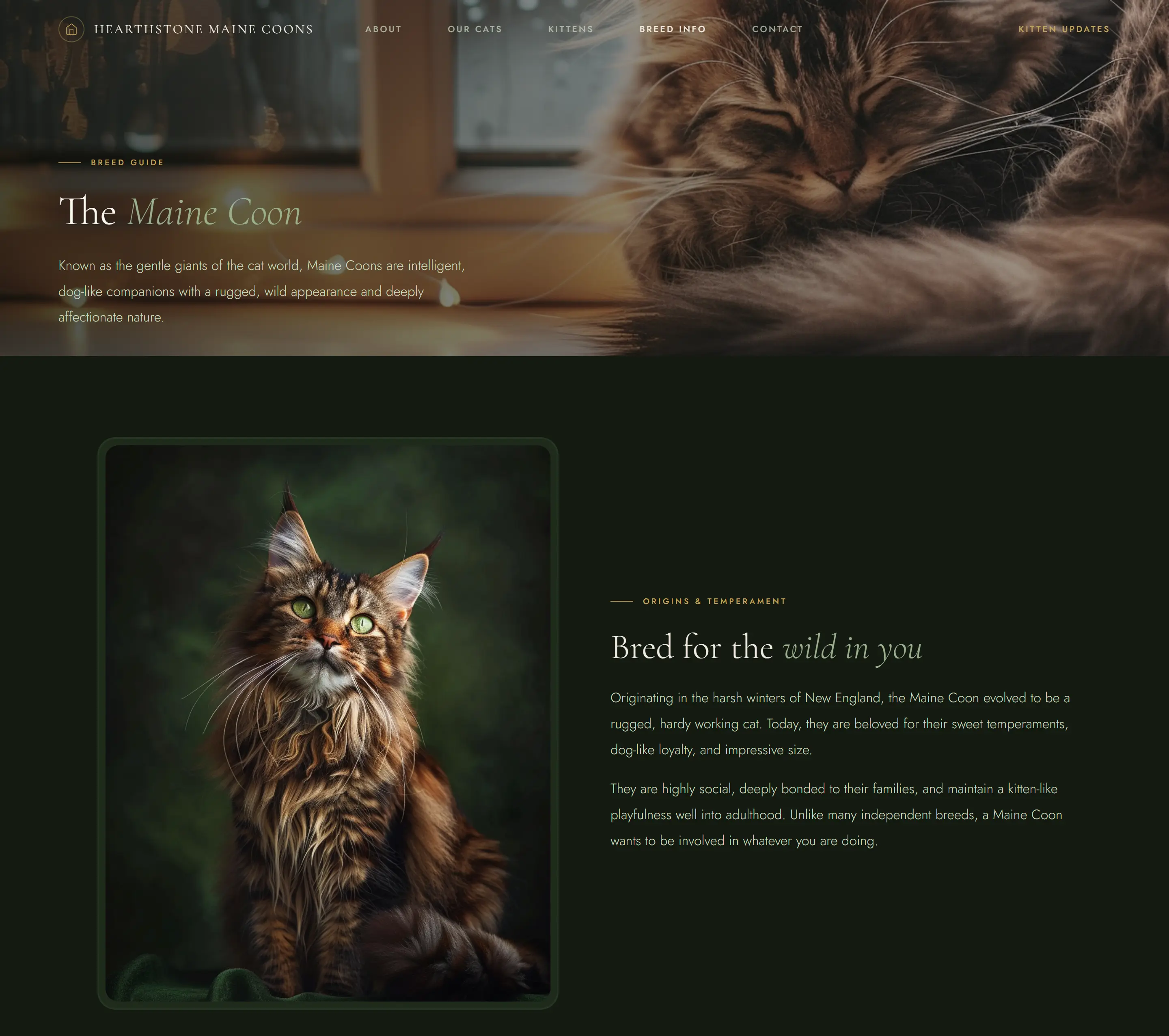 Purrsonality website mockup