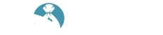 Novae