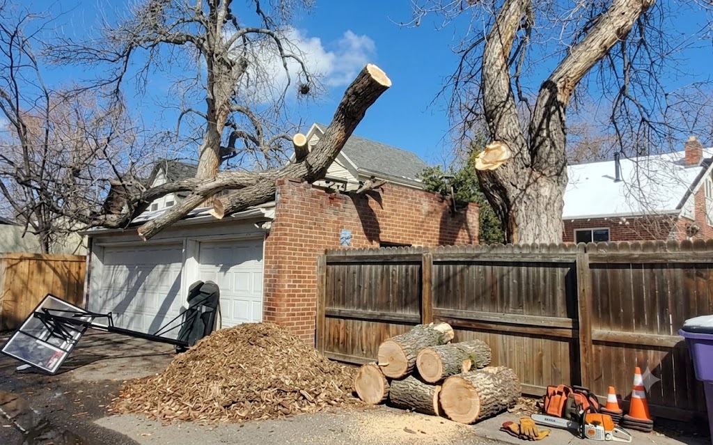 Emergency tree service for storm damage and urgent tree problems