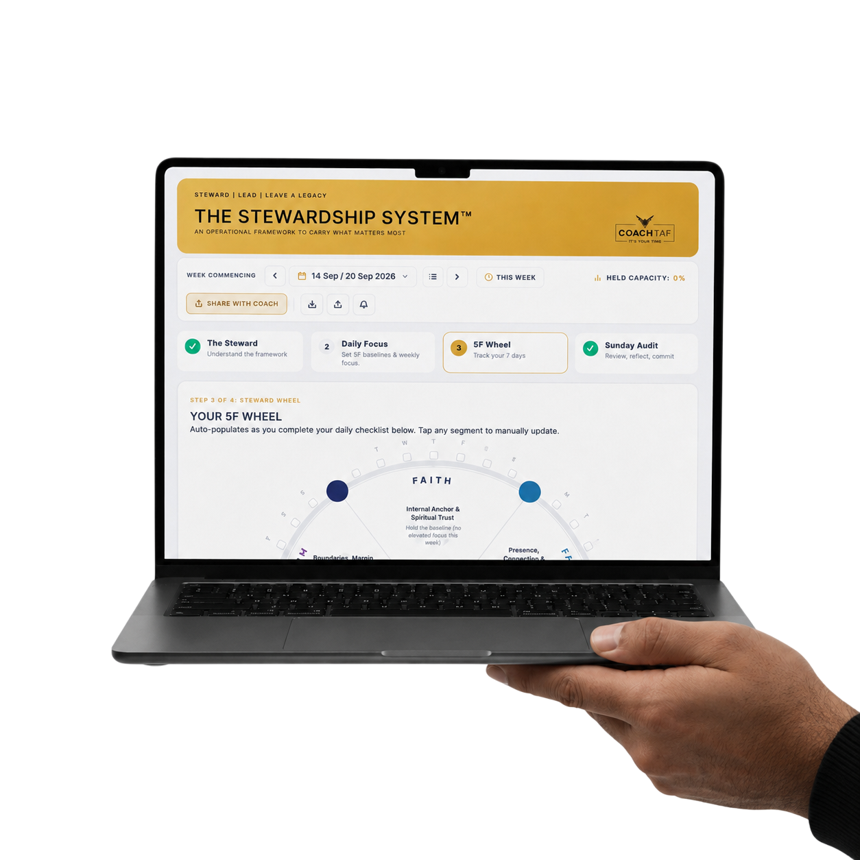 The Stewardship System Dashboard Mockup