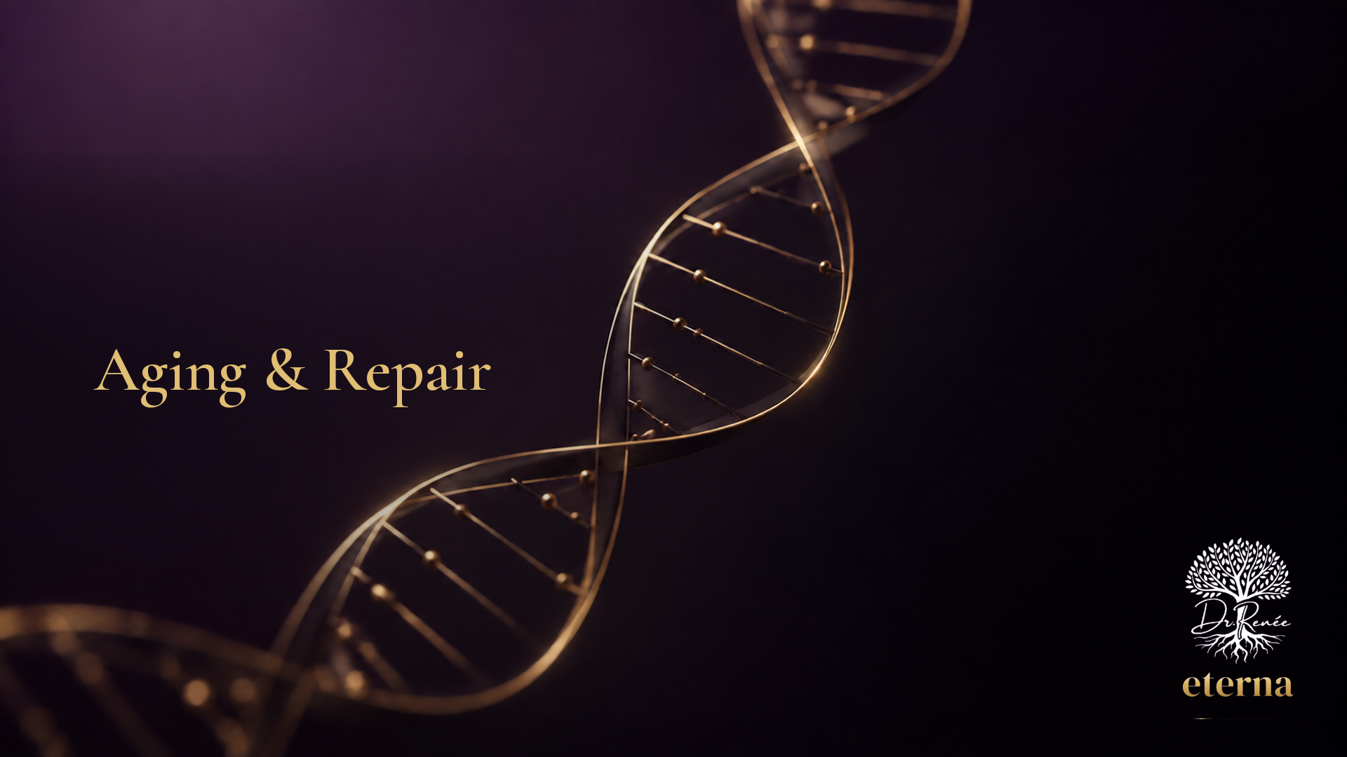 Aging & Repair collection cover