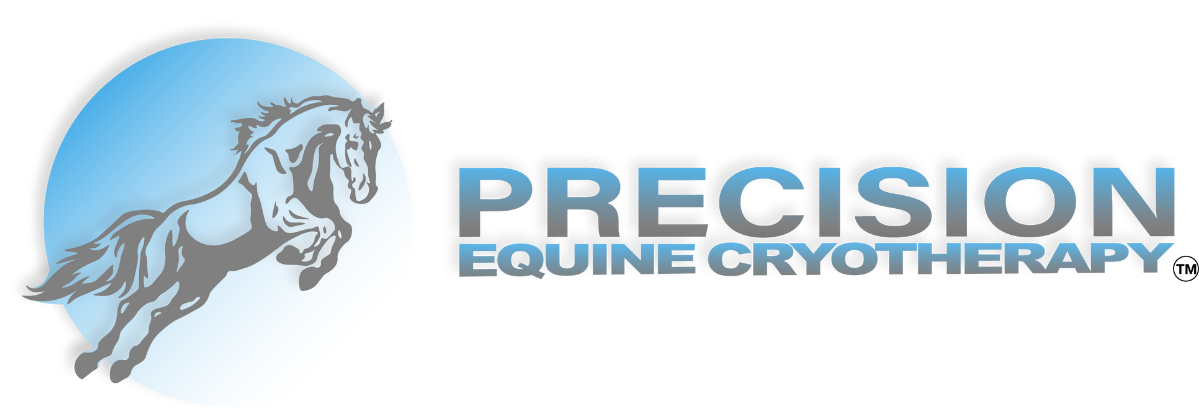 Precision Equine Logo