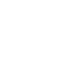 LinkedIn Logo Icon