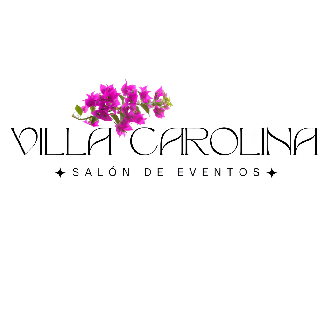 Villa Carolina Logo